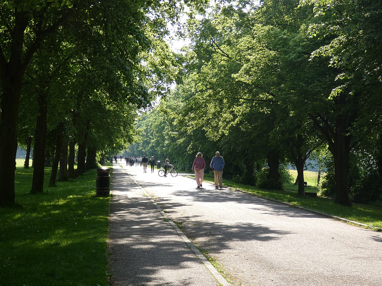 Trent Country Park &mdash; 413 acres of historic parkland with walking trails, lake, and woodland